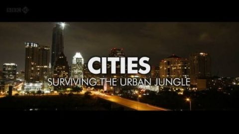 Cities - Surviving the Urban Jungle